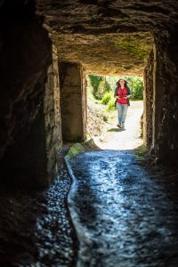 Les espaces du site